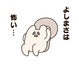 300503564