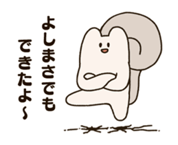 300503568