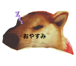 300504801