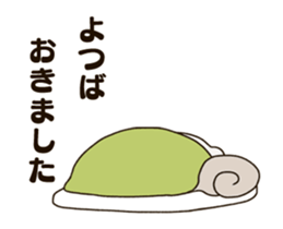 300507046