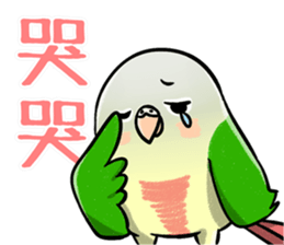 30051419