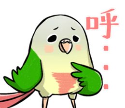 30051422