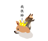 300522073