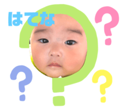 300536591