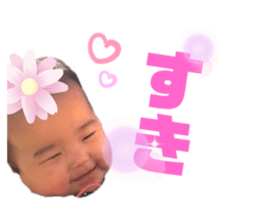 300536593