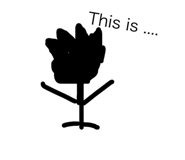 30062629