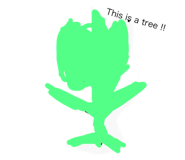 30062630