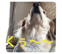 300657245