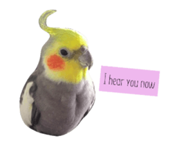 30066023
