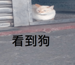 300738331