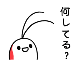 30082692