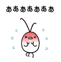 30082699
