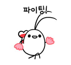 30082755
