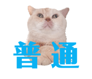 300858098