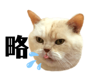 300858102