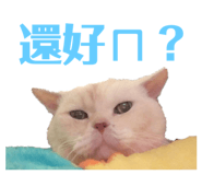 300858114