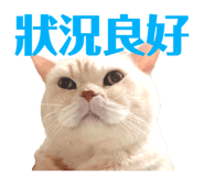 300858116