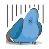 300888558