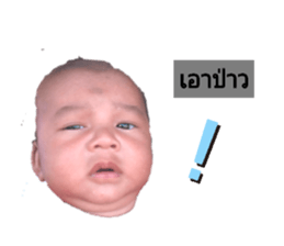 300893362