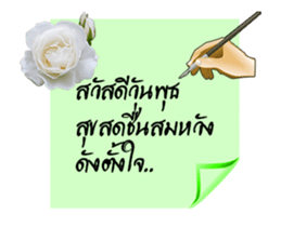 30097610