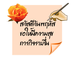 30097611