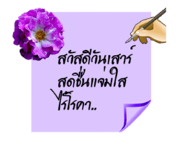 30097613