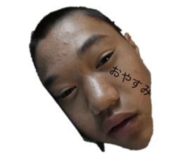 301253651