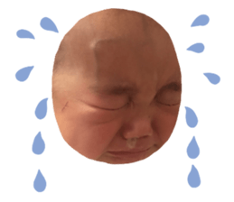 301258264
