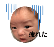 301264114
