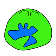 301276681