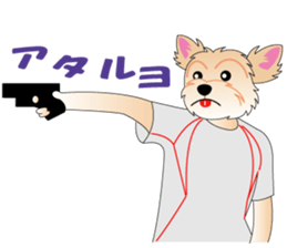 3013118