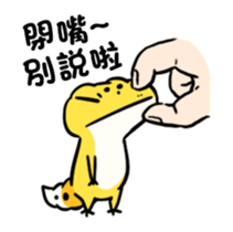301555558