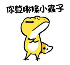 301555560
