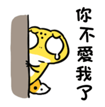 301555569