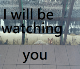301563506