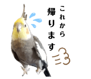 301589486