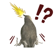 301589494