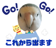 301589512