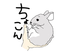 3017174