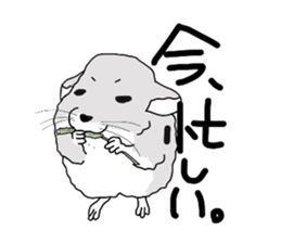 3017179