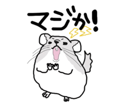 3017183