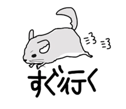 3017205