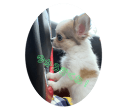 301815156