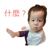 301881667