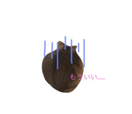 30192764