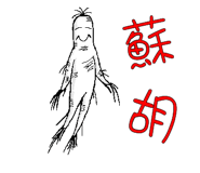 302006423