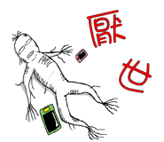 302006424
