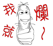 302006426