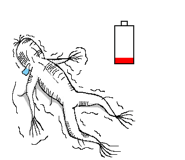 302006428