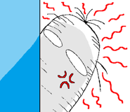 302006429